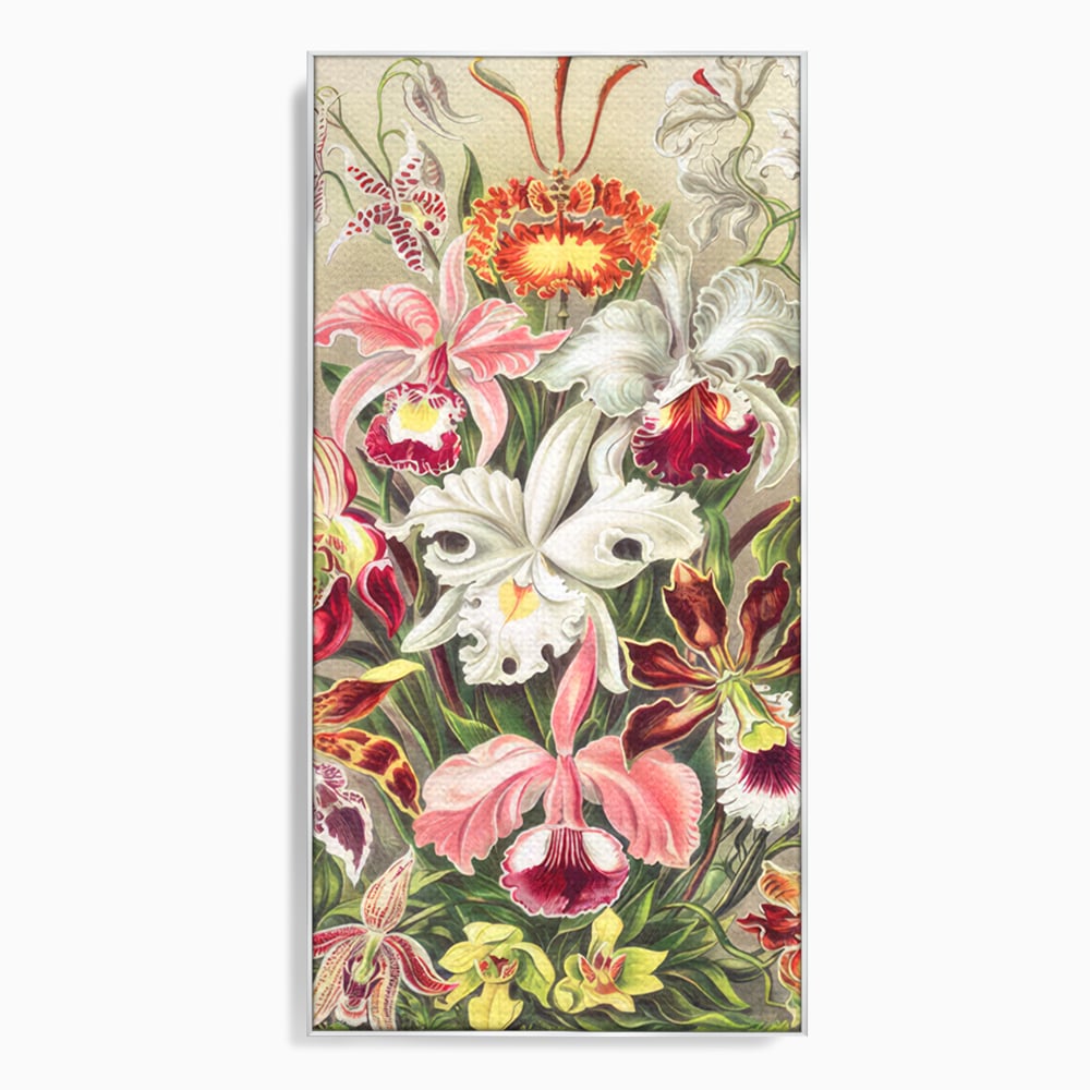 Tablou canvas cu ilustratie botanica cu orhidee multicolore, in rama de aluminiu argintiu